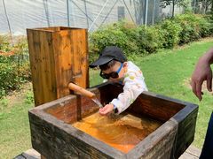 -前小桔亲子创意农场·草莓采摘·露营烧烤