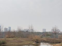 -眉山湿地公园(东坡区)