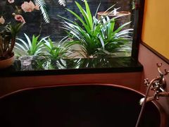 -迪瓦娜按摩和水疗中心