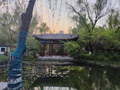 -武汉园博园(武汉自然博物馆)