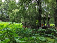 -老桂湖公园-杨升庵博物馆