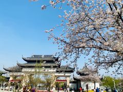 -苏州上方山国家森林公园
