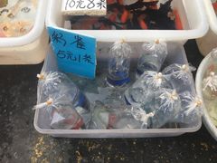 -清平路水族市场