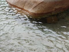 -碧水湾温泉