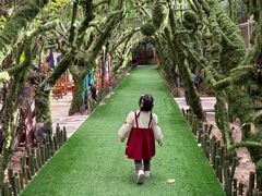 -呀路古热带植物园