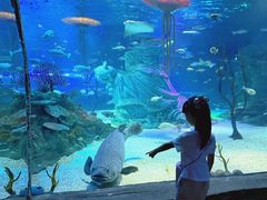 -沈阳海洋探索中心