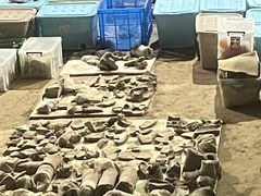-秦始皇帝陵博物院-丽山园