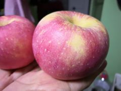 -百果园PAGODA(西四地铁站店)