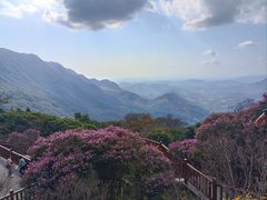 -广州市石门国家森林公园
