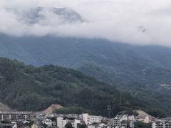 -后柳水乡