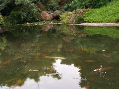 -晓港公园