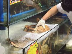 -蚝专家(北滘店)