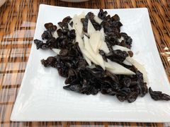 -龙达温泉生态城