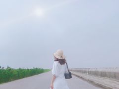 -南汇嘴观海公园