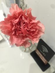 -Kraemer paris·苏豪路易士·嘉玛发廊