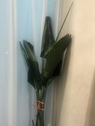 -唤颜美容·养生按摩SPA