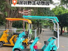 -深圳野生动物园