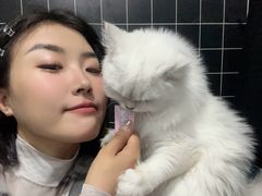 -翊宠yipet猫狗购宠庄园犬舍•猫舍