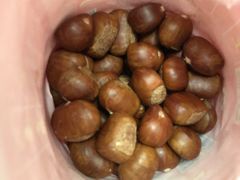 -阿男野栗王(金门路店)