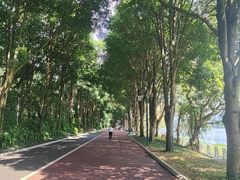 -南宁南湖公园