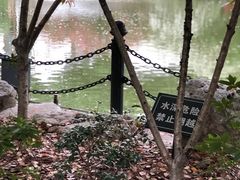 景点-鲁迅公园