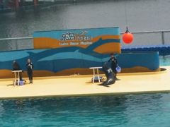 -秦皇岛乐岛海洋王国