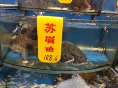 -渔中舟海鲜大排档(普陀沈家门店)