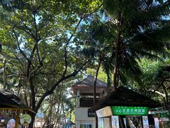 -海南分界洲岛旅游区