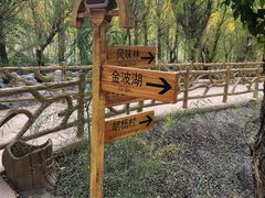 -金塔沙漠胡杨林景区