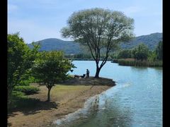 -长广溪湿地公园