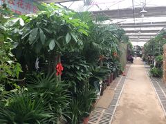 -秦美花卉(天朗·莱茵小城2期店)