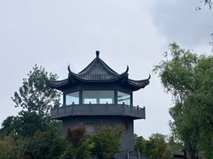 -盐城丹顶鹤湿地生态旅游区