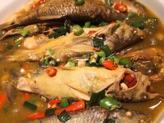 -7017浙菜•建德味(中财店)