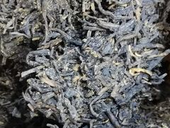 -南宁国际会展中心(会展东博文化旅游区)