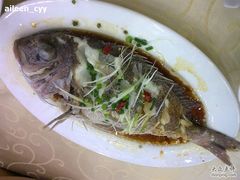 海鲈鱼-海岛渔村大酒店(云霄路店)