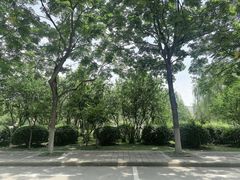 -长安大学(北校区)