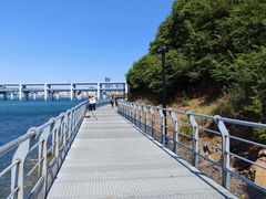 -星海湾跨海大桥