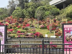 -点都德(广州白云山景区南门店)