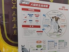 -芭比堂动物医院(广州爱宠下渡路分院)