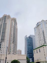 -中国福利会国际和平妇幼保健院(徐汇院区)