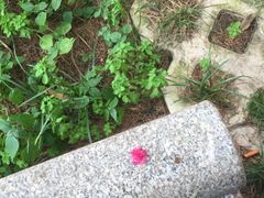 -云南师范大学(一二一西南联大校区)