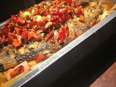 -锦尚阁烤鱼(望京新荟城店)