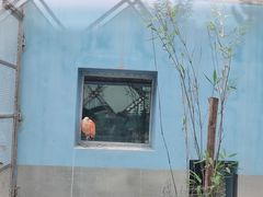 -青藏高原野生动物园