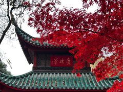 -岳麓山风景名胜区