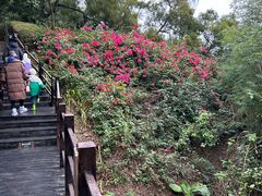 -涠洲岛火山国家地质公园