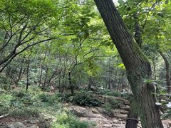 -虞山风景区