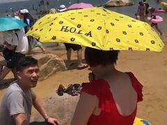 -碧海金沙