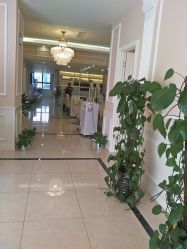 -Bollins波林丝•专研护发中心