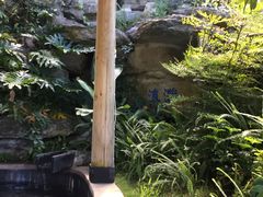 -腾冲洞山温泉村