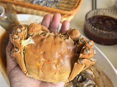 -七的湖·晚芳亭·阳澄湖农家菜·大闸蟹(莲花岛店)
